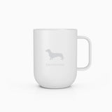 Dachshund